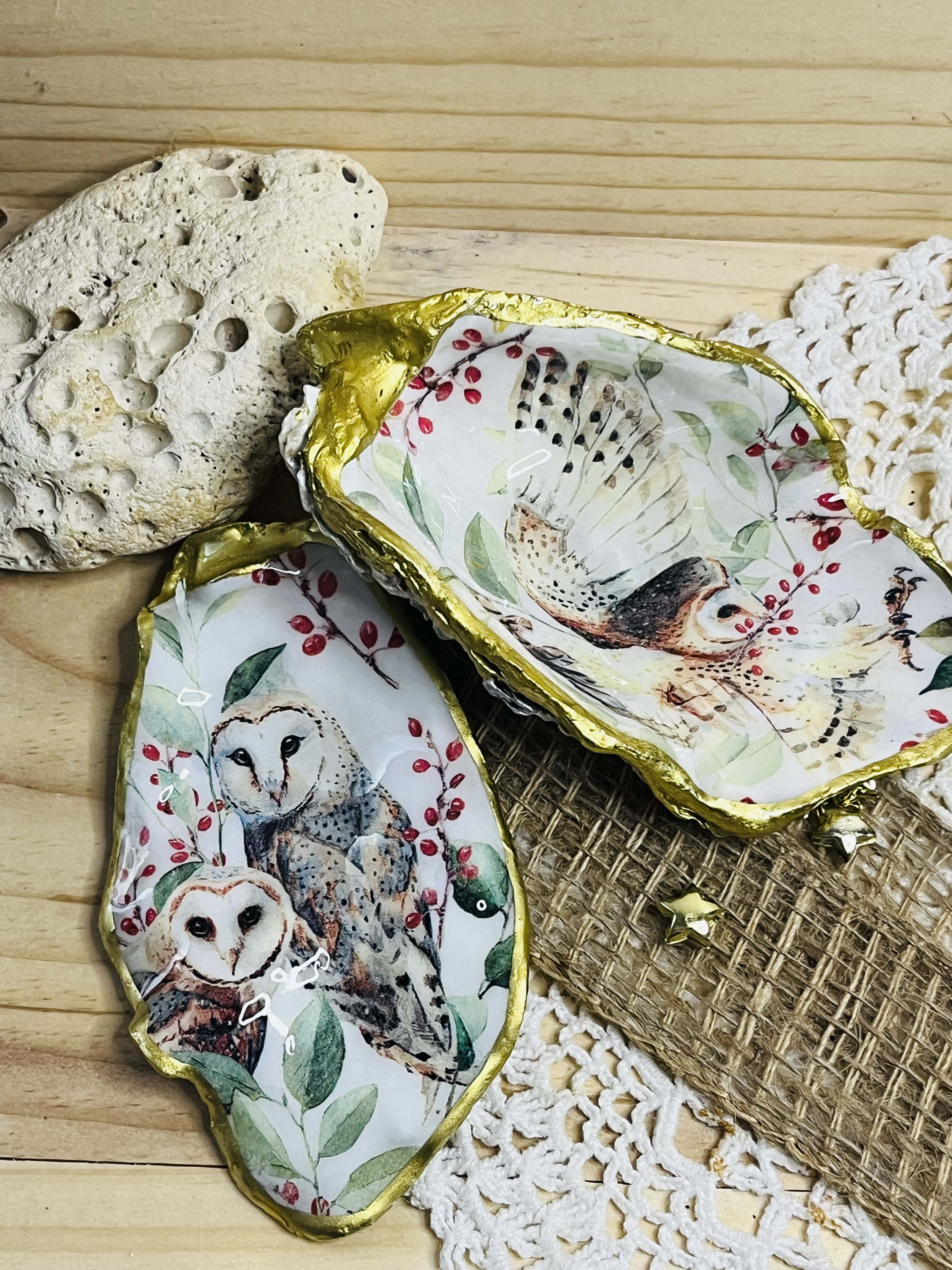 Coquille sublimée – Chouette effraie